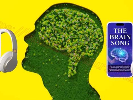 The Brain Song of The Brain Song Israel: חדדו את המוח שלכם באופן מיידי