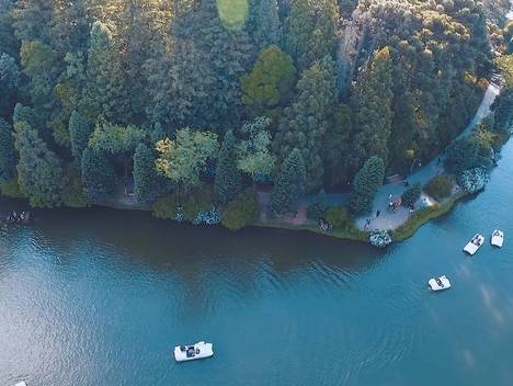 VÍDEO de Wedding Gramado Danilo e Zuzy