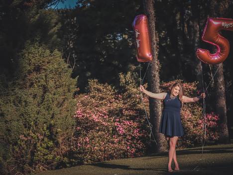 Book 15 Anos de 15 anos Ana Laura