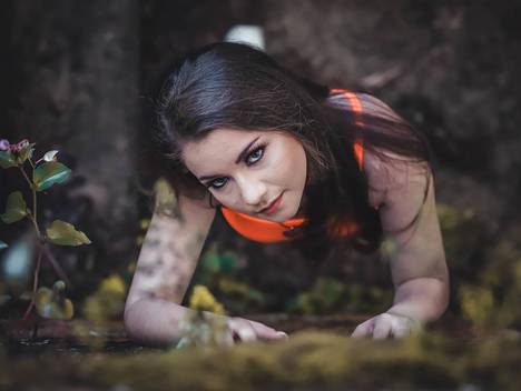 Book 15 Anos de 15 anos da Brenda