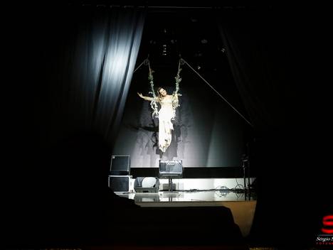 Aniversários de Aniversário 50 Anos Deise