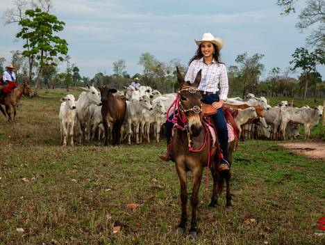 Ensaio de Book dos 15 Maria Paula
