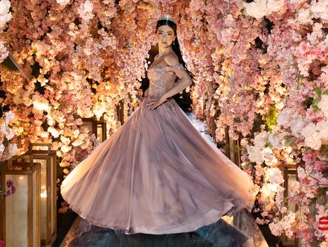 Aniversários de 15 Anos Sofia