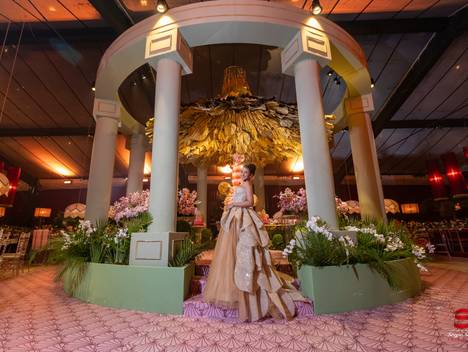 Aniversários de 15 Anos Valentina