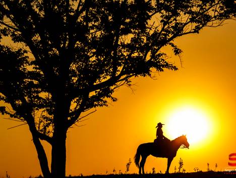 Ensaio de Book Rafaela