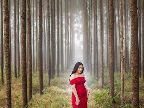 Ensaio de Book Glenda