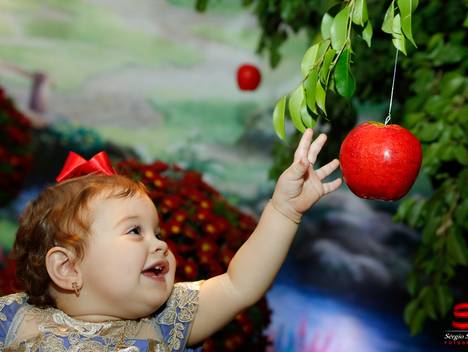 Aniversários de Aniversário 1 Ano Luiza