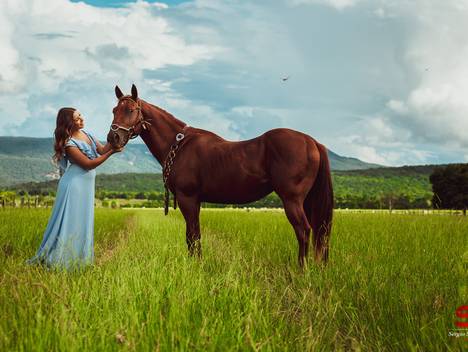 Ensaio de Book Sofia