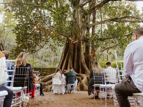 Casamento de Sandra & Fernando