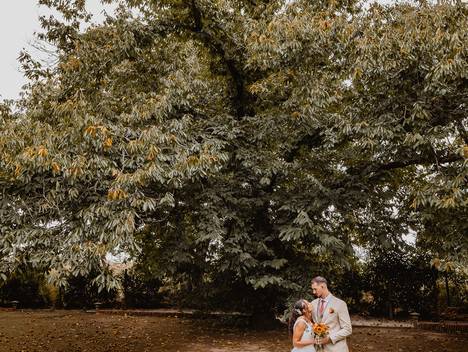 Casamento de Maria João & Daniel