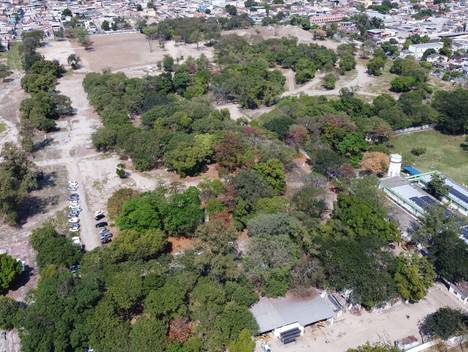 Meio Ambiente de Parque de Realengo se Torna Realidade