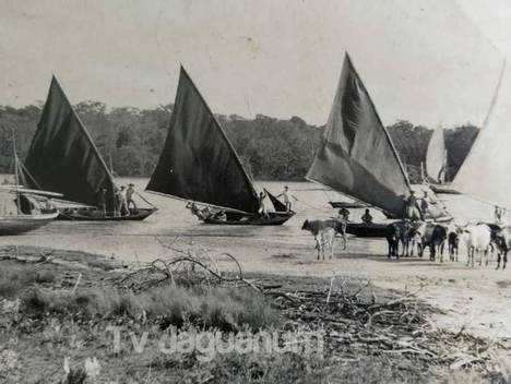 Documentários de Histórias das Canoas na Costa Verde