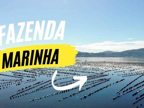 Empreendimentos de Fazenda Marinha - Aumentar a Produção de Alimentos
