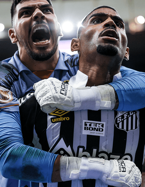 Futebol de Santos 2x1 Flamengo