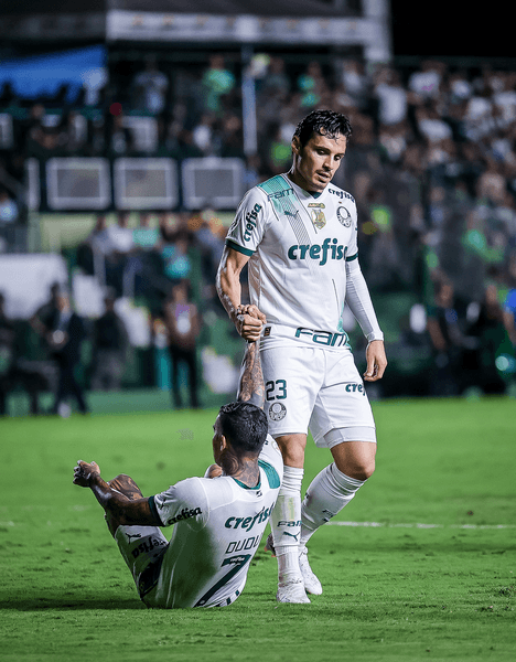Futebol de Goiás 0x5 Palmeiras