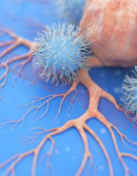 Neuro Serge Israel of פתח גישה לפוקוס עילאי עם Neuro Serge Israel (צעד אחר צעד)