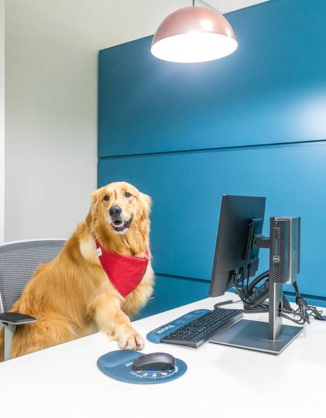 EVENTOS CORPORATIVOS de Sicoob Norte do Paraná