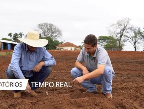 Agronegócio de PLANTIO DO AMENDOIM SAFRA 21/22 