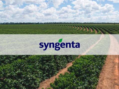 Agronegócio de Hora do Drench | SYNGENTA