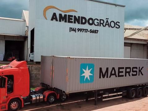 Agronegócio de Amendogrãos Peanuts