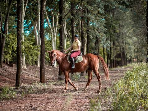 Sessões de Ana Carolina