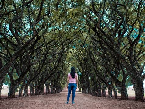 Sessões de Ana Elisa