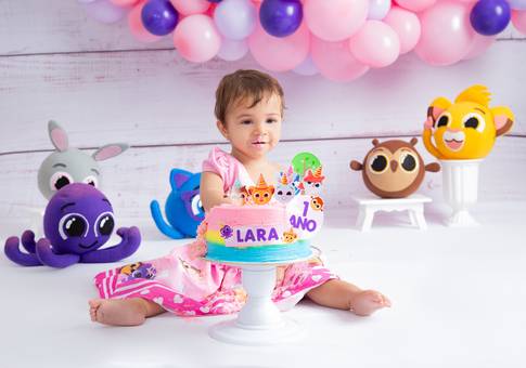 SMASH THE CAKE de LARAH - UM ANO