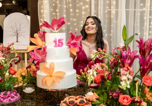 Debutantes de 15 anos Maria Eduarda