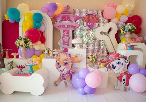 Aniversário de Aniversário de 4 anos da Ana: Patrulha Canina Rosa e muita diversão em Brasília