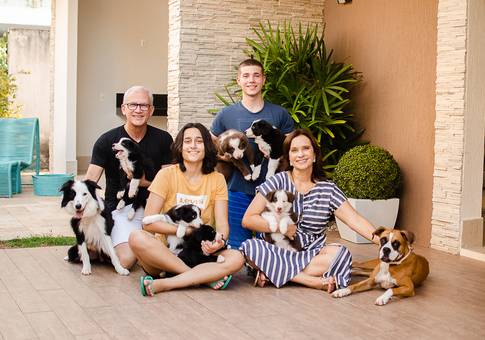 Pets de Filhotes Lolla Border e Família 