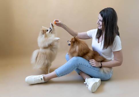 Pets de MEL E CLARA | Ensaio Família