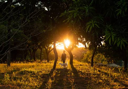 Pets de Monique e Luna | Ensaio Pet em Natal