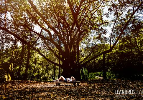 Book de 15 anos de 15 ANOS