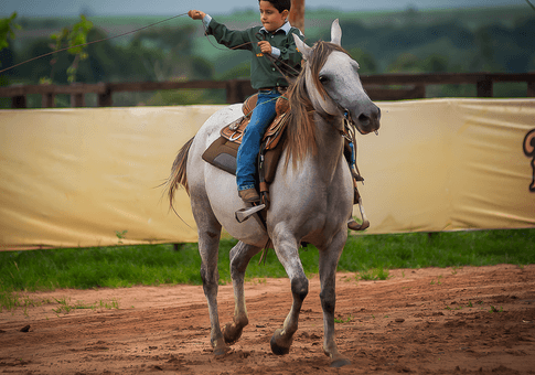 Corporativo de Rancho Nogueira