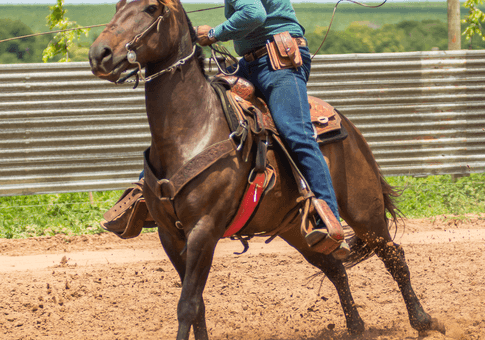 eventos de Prova do Laço 2025
