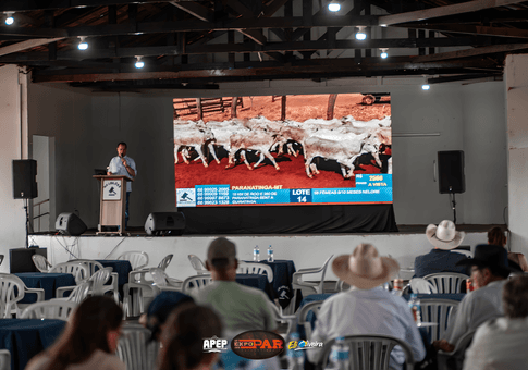 eventos de expopar 2026 - 05/09