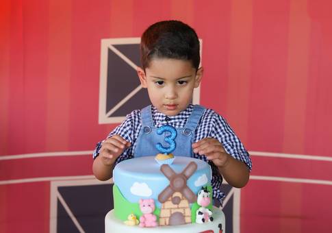 Festa de aniversario Infantil de Niver do Heitor 3 anos