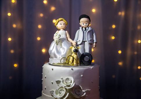 Casamentos de Davi & Hevelyn - Wedding