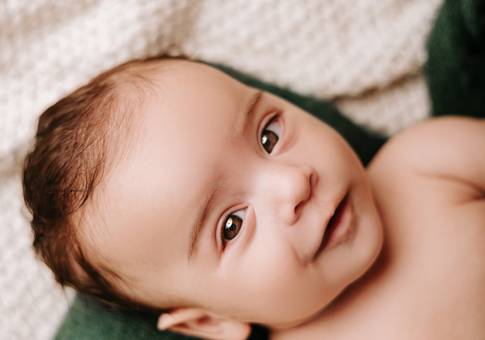 Acompanhamento de José