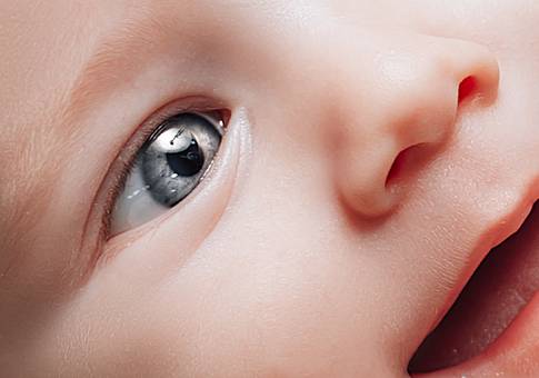 Acompanhamento de Pietro