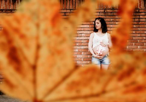 Gestante de Ensaio Gestante: Roberta