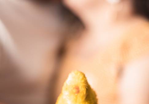 Nosso Nós de Nosso Nós: B + V