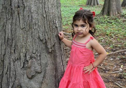 Books Infantil de Alfonsina