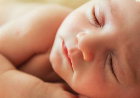 Ensaio de Família de Família completa