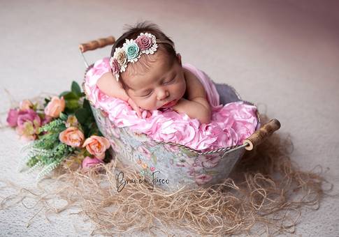 NEWBORN de Ensaio de recém-nascida da Melissa 