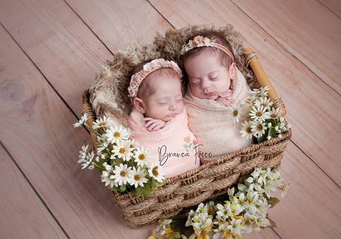 ENSAIOS de Ensaio Infantil das gêmeas Isadora e Vitória