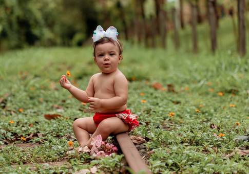 Ensaio Externo de Um Aninho da Sarah