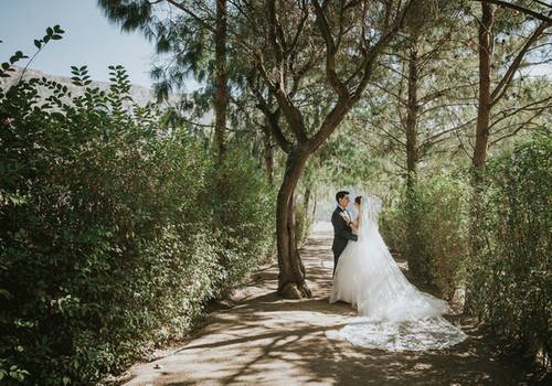 Lugares para tu boda con Jardín en La Paz ( y sus alrededores)