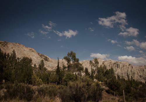 Todo lo que necesitas saber para tu sesión en el Bosque de Auquisamaña - La Paz 