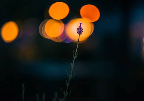 A Wellness Escape in the Netherlands: My Stay at Thermae 2000